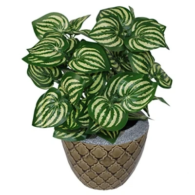 Obrázek Leaf Kunstpflanze im Wassermelonen Stil, 45 cm