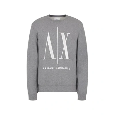 Obrázek Armani Exchange Mikina, Muži, Velikost: XXL, Grey