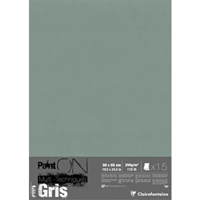 Obrázek Clairefontaine 975812C PaintOn Mappe (mit 15 Bögen, 250 g, 50 x 65 cm, ideal für weiße Zeichnungen und Multitechniken) grau