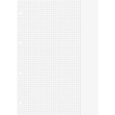 Obrázek Brunnen 1066946 vložky do kroužkového vazu A4 (čtverečkovaný s okrajem, linkování 26, 100 listů, 70 g/m²)