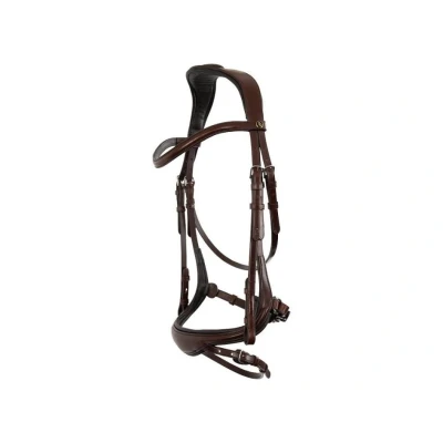 Obrázek BR Bridle Longridge