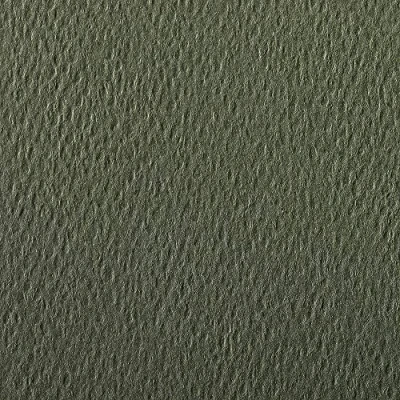 Obrázek Clairefontaine 93886C balení (s 25 listy kreslicí papír Etival Color, DIN A4, 21 x 29,7 cm, 160 g, zrnitý, ideální pro suchou techniku a rámování), vodní zelená