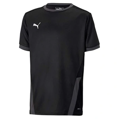 Obrázek PUMA Pánský teamGOAL 23 Jersey Trikot