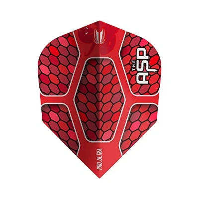 Obrázek Target Nathan Aspinall Gen 1 Flight Standard No 2