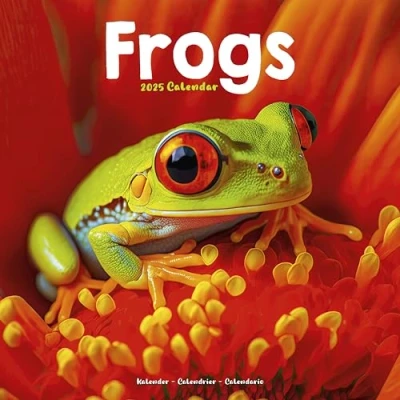 Obrázek Frogs Frösche 2025 16 Monatskalender: Original Avonside Kalender [Mehrsprachig] [Kalender] (Wall Kalender)