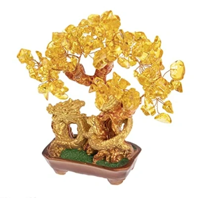 Obrázek lachineuse Dragon Baum, Drache Citrin, 17 x 15 10 cm