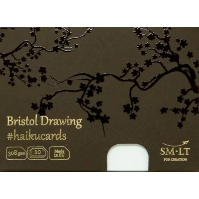 Obrázek Smlt C pro 20 (308) Haiku Cards 147 X 106 mm Bristol Papír karty v krabici, 308 GSM Papír, karet