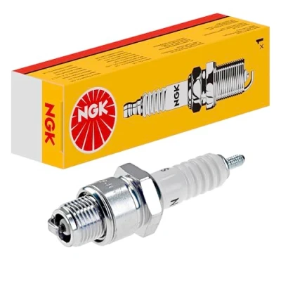 Obrázek NGK Zapalovací svíčka 6154
