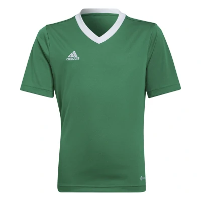 Obrázek Dětské Tričko s krátkým rukávem Adidas Ent22 Jsy Y Hi2126 Zelená