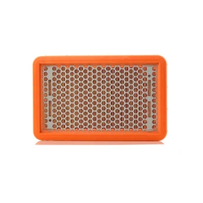 Obrázek MANN FILTER C 2666 vzduchový filtr pro osobní automobily
