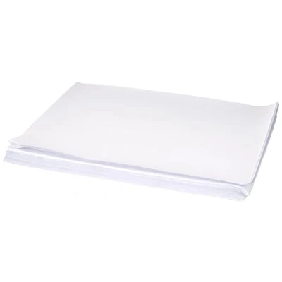 Obrázek PAPSTAR 12555 prostírání papír, 30 x 40 cm, 250 kusů, bílé, střední, bílé/pulentní zahrada