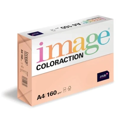 Obrázek Image Coloraction Savana barevný papír do kopírky DIN A4, 210 x 297 mm, 160 g/m² barevný, bezdřevý tiskárny 250 listů salm