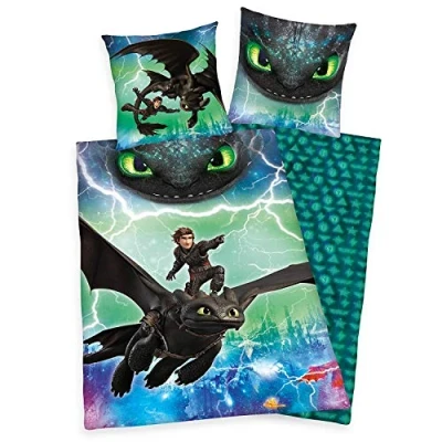 Obrázek Herding Sada ložního prádla DREAMWORKS DRAGONS, motiv oboustranné, povlečení 135 x 200 cm, povlak na polštář 80 bavlna/renforcé