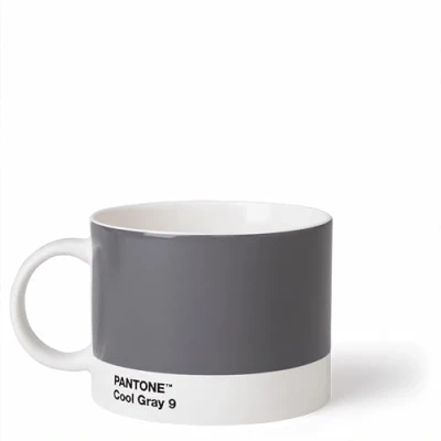 Obrázek Pantone Hrnek na čaj, porcelán, Cool Gray 9, 10,4 x 8 cm