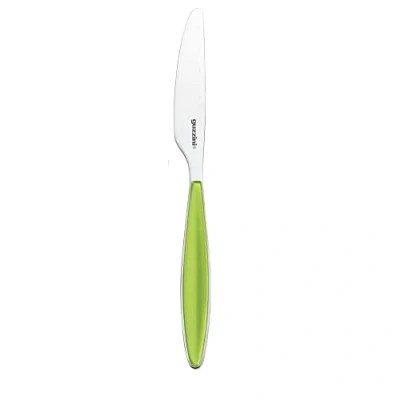 Obrázek Guzzini Feeling, nůž zelené jablko, 22,5 cm 23000384