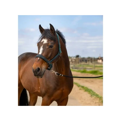 Obrázek Equithème Nylon Rhinestone Halter