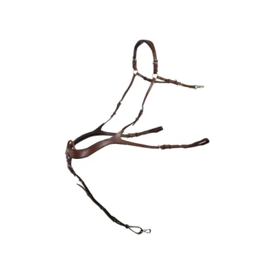 Obrázek Poprsník BR Heywood oak/silver COB