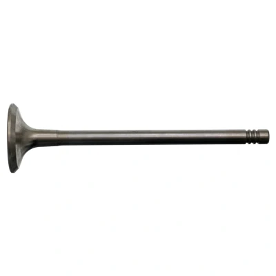 Obrázek febi bilstein 17389 výstupní ventil , 1 kus
