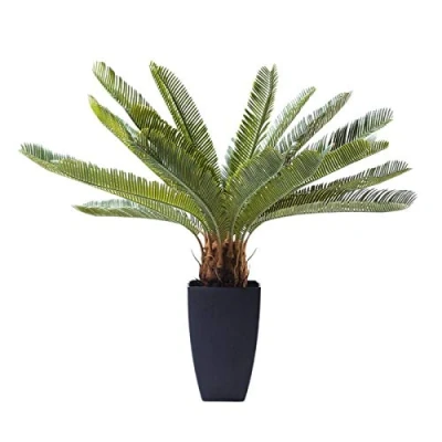 Obrázek Kare Designová rostlina Cycas Tree dekorace, 78 cm