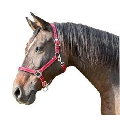 Obrázek Kerbl Halfter Mustang, 3, červená/černá