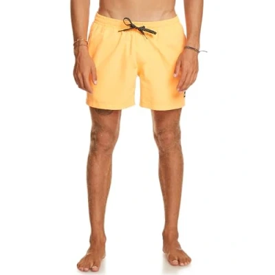 Obrázek Quiksilver Everyday Volley 15&quot; Jam/Volley pro muže