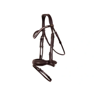 Obrázek BR Bridle Southam