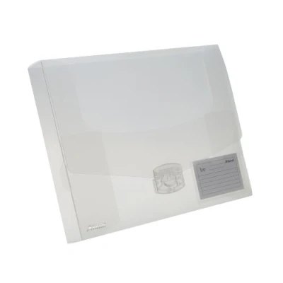 Obrázek Rexel Box na dokumenty 2102029 ICE, PP, A4, 40 mm, 1 kus, čirý
