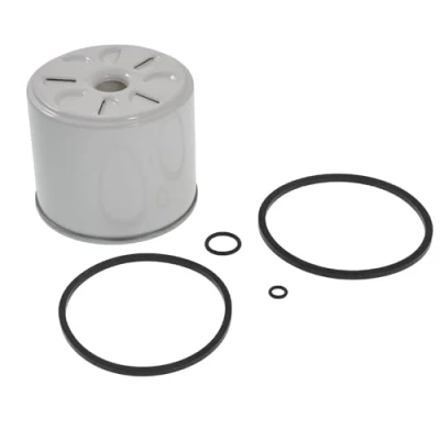 Obrázek Blue Print ADK82319 palivový filtr s těsnicími kroužky, 1 kus