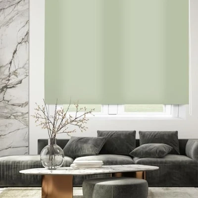 Obrázek Blindecor Ara Lichtdurchlässiges Rollo Pastelgrün 120 x 175 cm (BxH) Stoffgröße 117 170 Rollos für fenster