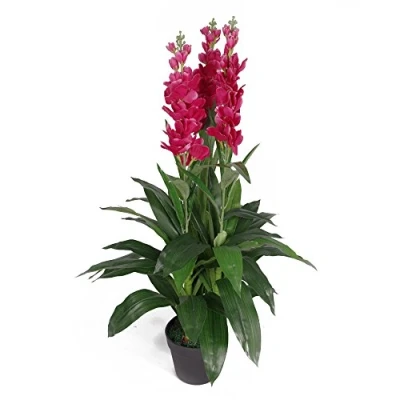 Obrázek Leaf Kunstpflanze Cymbidium Orchidee, 100 cm, schwarzer Kunststofftopf, dunkelrosa Blumen