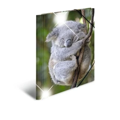 Obrázek HERMA desky A4 Koala, dětské na rohové napínáky z plastu s motivem zvířete, vzhled vysokým leskem, gumička, vnitřní klopy a potisk pro chlapce dívky