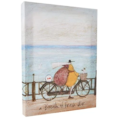 Obrázek Sam Toft &#039;A Breath of Fresh Air&#039; Kunstdruck auf Leinwand,30 x 40 cm