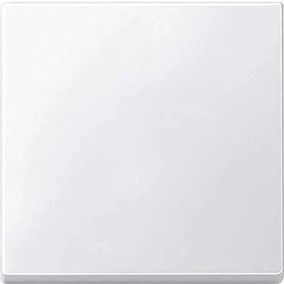 Obrázek Schneider Electric Merten 434119 kolébka pro spínač, polární bílá, systém M