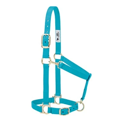 Obrázek Weaver Leather Basic Adjustable Halter, tyrkysová