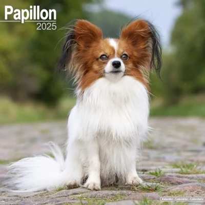 Obrázek Papillon 2025 16 Monatskalender: Original Avonside Kalender [Mehrsprachig] [Kalender] (Wall Kalender)