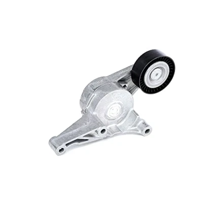 Obrázek SKF VKM31054 VKM napínací kladka, 31054 klínový žebrovaný řemen