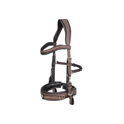 Obrázek Waldhausen Anatomic Cavesson