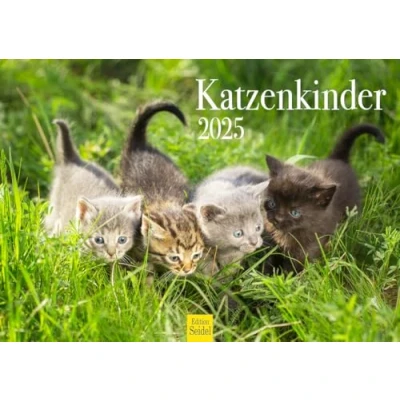 Obrázek Edition Seidel Prémiový kalendář kočičí děti 2025 formát DIN A4 nástěnný kočky domácí zvířata koťata kocovina