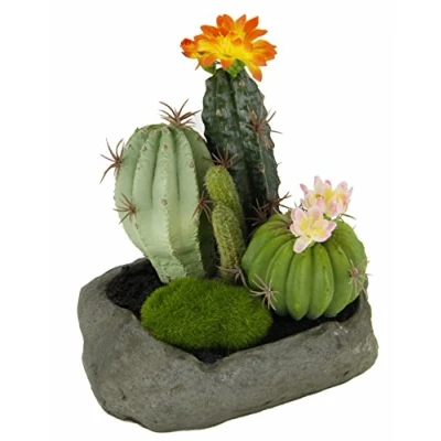 Obrázek Flair Flower kaktusy v kámen, plast, oranžová, 19 x 15 14 cm