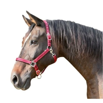 Obrázek Kerbl Halfter Mustang, 2, červená/černá