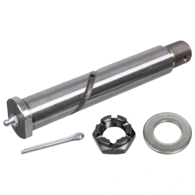 Obrázek febi bilstein 02873 šrouby na normální pružiny s matkou, kotoučem a bradavkou