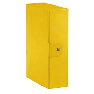 Obrázek Esselte Archivační box pro archivování dokumentů dlouhodobě, A4, zadní strana 10 cm, Delso Order Dorso cm žlutá