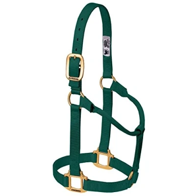 Obrázek Weaver Leather Originální Non Adjustable Nylon Horse Držák Small, Hunter Green