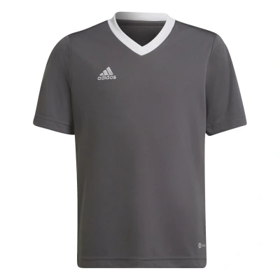 Obrázek Dětské Tričko s krátkým rukávem Adidas Ent22 Jsy Y H57499 Šedá