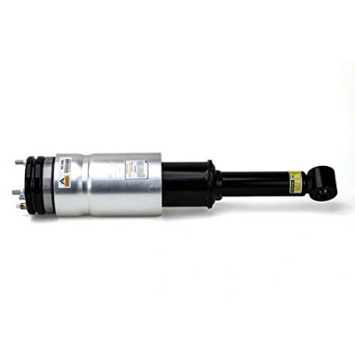 Obrázek Arnott Air Suspension AS 2809 Strut Assembly by