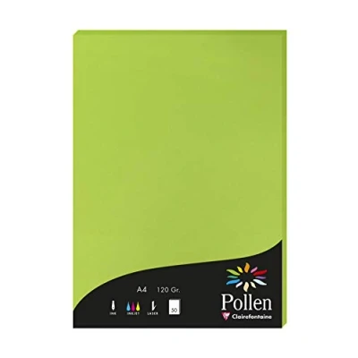 Obrázek Papír Pollen Clairefontaine 21 x 29,7 cm, Mátově zelená A4