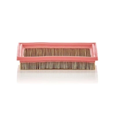 Obrázek MANN FILTER C 2244 vzduchový filtr pro osobní automobily