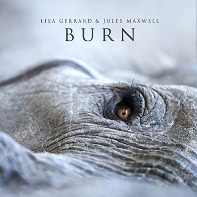 Obrázek Burn (Limited Edition) [Vinyl LP]