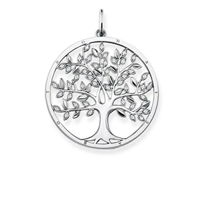 Obrázek Thomas Sabo Dámský přívěsek Tree of Love 925 Sterlingové stříbro PE759 051 14, stříbro, Kubická zirkonie