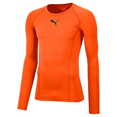 Obrázek PUMA Pánské, LIGA Baselayer Tee LS Shirt